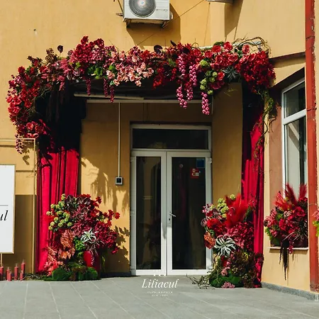 Liliacul 3* Клуж-Напока