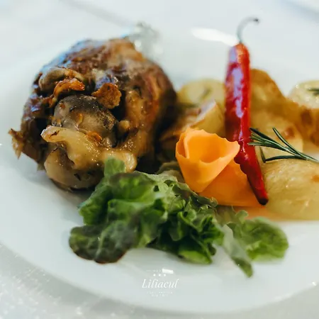 Liliacul 3* Клуж-Напока