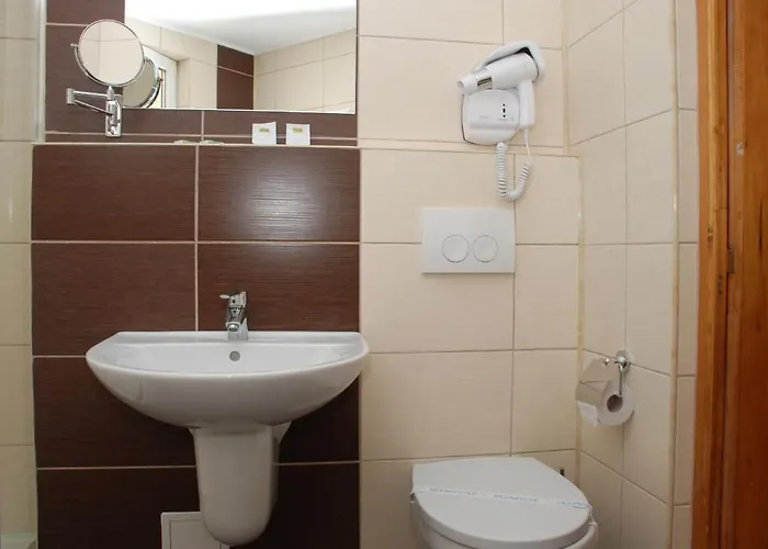 Liliacul 3* Cluj-Napoca